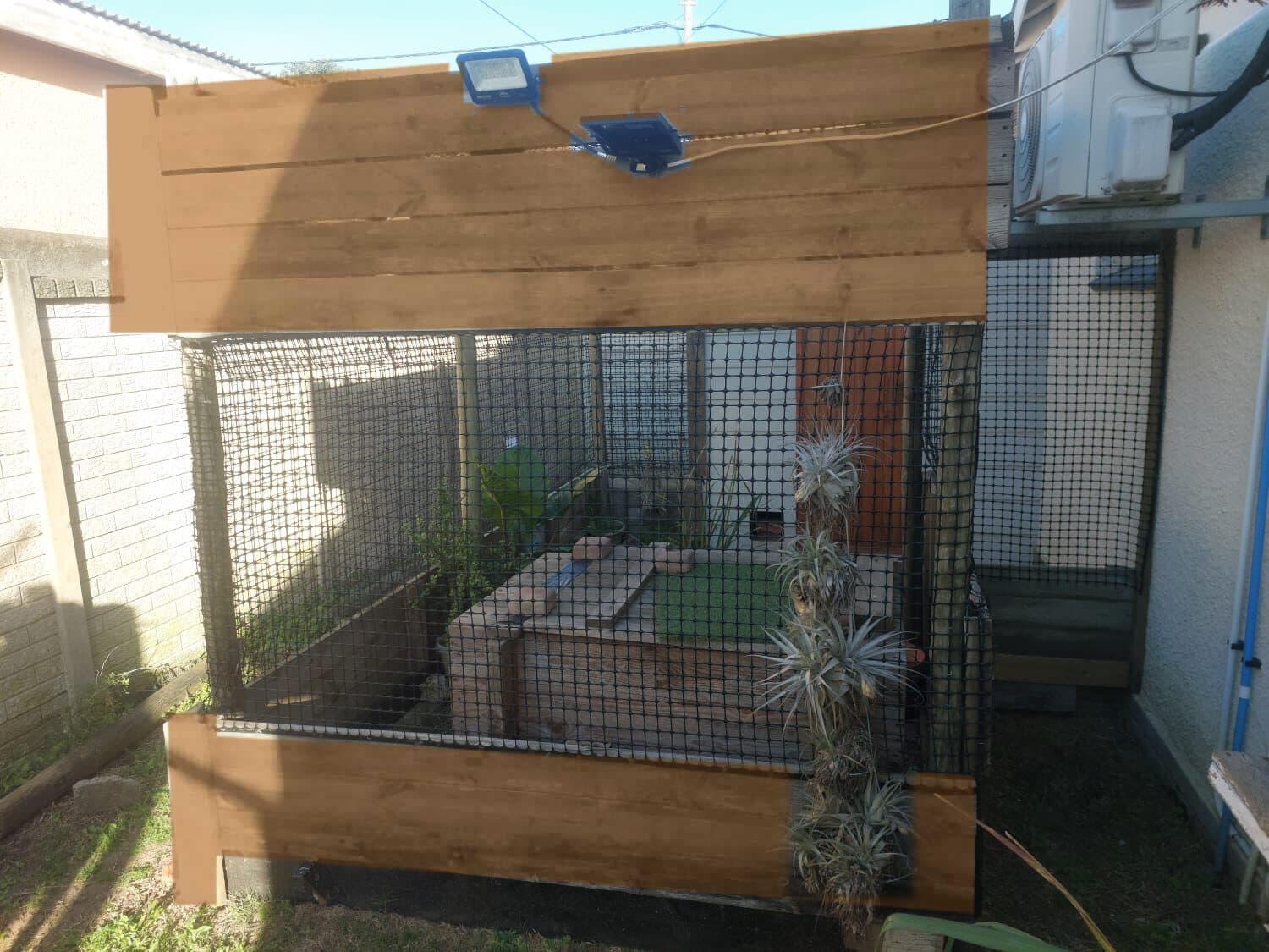 Outdoor cattery with mesh enclosure and timber frame built by our team