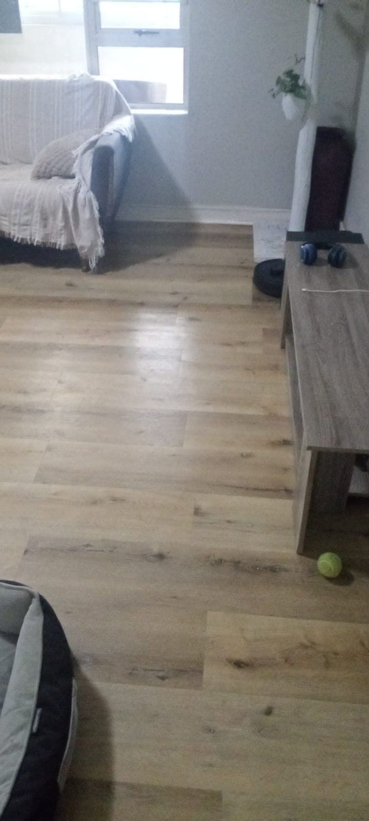 Wood-look plank floor laid through a living room