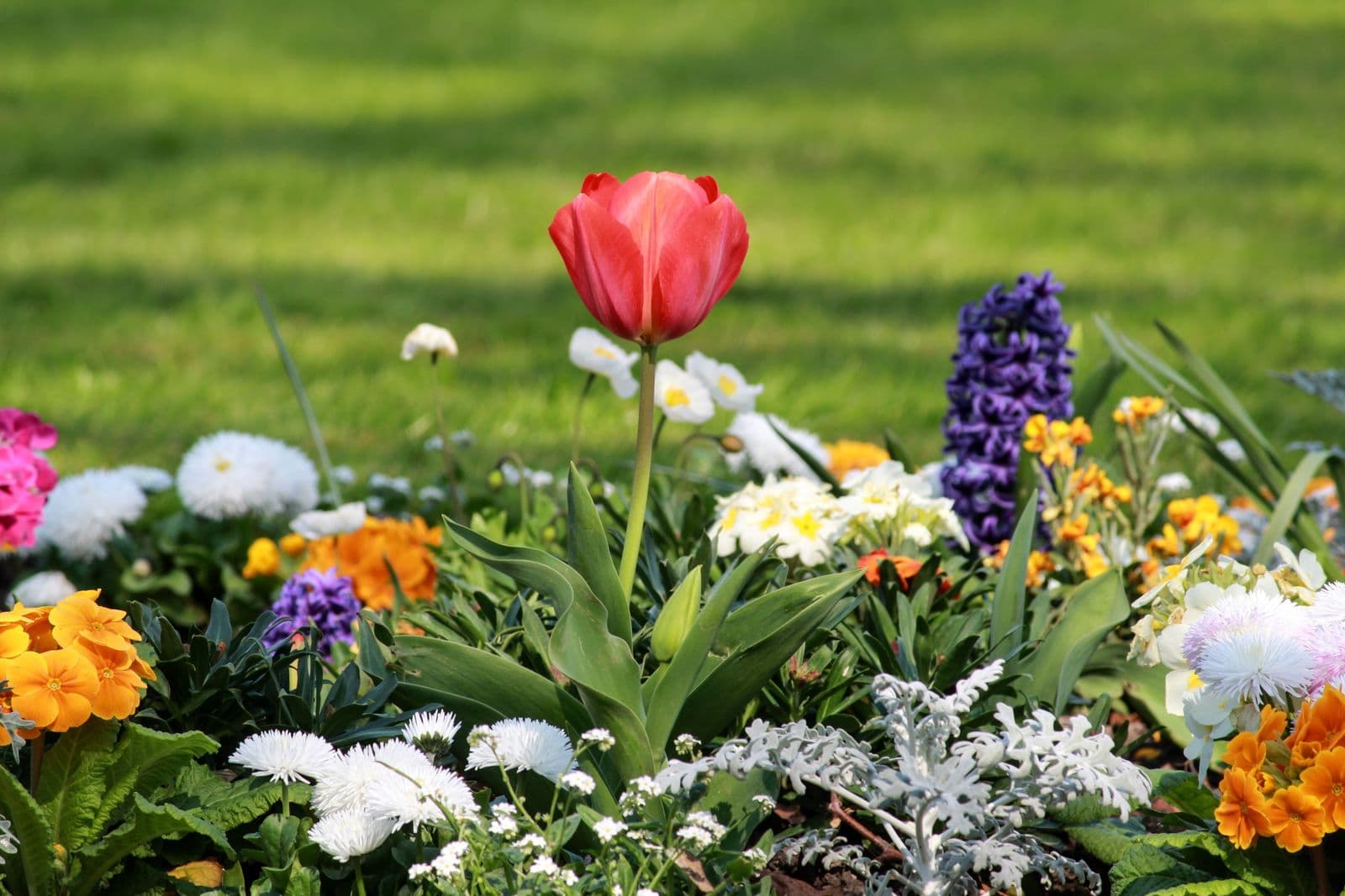 Flower Beds